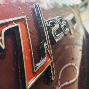 Meet your Posher, Shane